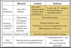 -Archaea has more transcription factors
than Eukarya 
-Several
tRNA and rRNA
encoding genes of Archaea have introns that are spliced
out
-These archaeal
introns are excised by a specific endoribonuclease that
recognizes exon-intron junctions