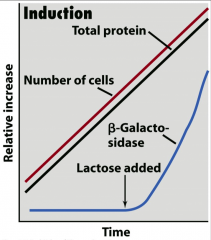 occurs when substrate is present to make enzymes needed to use substrate.