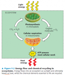 chemical recycling processes
