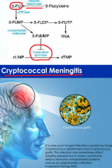 mechanism:
inhibits DNA and RNA biosynthesis by conversion to 5-floururacil by cytosine deaminase

clinical use
systemic fungal infections 
-->espiacially in cryptococcal meningitis in combination with amphotericin B

adverse effects:
bone marrow...