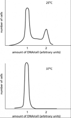 A mutant yeast strain stops proliferating when shifted from 25°C to 37°C. When these cells are analyzed at the two different temperatures, using a machine that sorts cells according to the amount of DNA they contain, the graphs in Figure Q18-3 a...