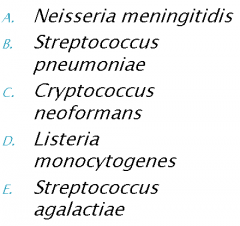 Which of the following is a cause of fungal meningitis?