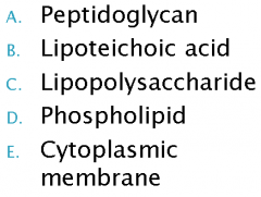 Which of the following components of gram-negative cell walls acts as an endotoxin?