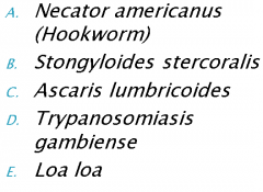 Which of the following parasites is a common cause of anaemia in Sub-Saharan Africa?