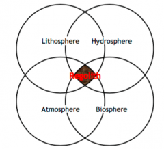 lithosphere


hydrosphere


atmosphere


biosphere