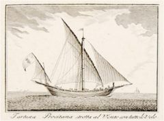 a small & nimble lateen-rigged, single-masted vessel originating in the Middle East
