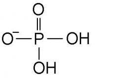 A phosphorous atom bonded to four oxygen atoms.
