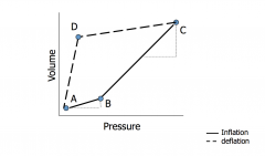 Nonlinear pressure-volume curve of the lung in which transpulmonary pressure at a given volume during inflation is less than the transpulmonary pressure at the same volume during exhalation. 