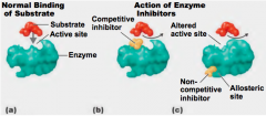1. Competitive inhibitor
2. Noncompetitive 
3. Feedback Inhibition