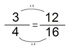 an equation stating two ratios are equal