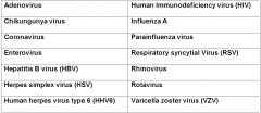 Which virus from the list can cause respiratory illness, conjunctivitis and gastroenteritis?