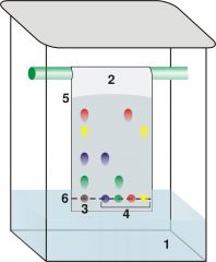 this technique separates and identifies the compounds of one specific liquid