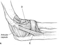 Figures A and B are diagrams depicting the ligamentous attachments about the elbow. To restore elbow flexion, in addition to releasing the articular capsule, which ligament should be released?