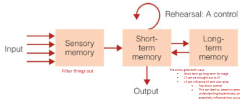 Using Attkinson & Shiffrin's Modal Model of Memory

Input will go to a sensory system where it will filter things out

This will go to short term memory where either it will be rehearesed, forgotten or stored in long-term memory
