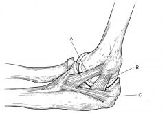 Release of theanterior band of the medial collateral ligament leads to ___ instability. 
letter?