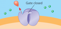 closing of the gate: step 3