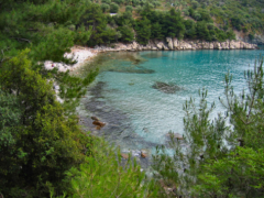 Thasos is where Archilochus landed on his voyage that he described to be a wretched place.

Archilochus went to the colony of Thasos and participated in battle with local tribe of Thracians (the Saians)