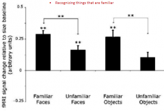 Greater activation in perirhinal cortex for familiar vs unfamiliar faces and objects
