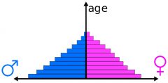 Visual representations of the age and sex composi- tion of a population whereby the percentage of each age group (generally five-year increments) is represented by a horizontal bar the length of which represents its relationship to the total popul...