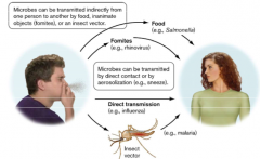 From one member of a species to another (human to human)

Can occur through fomites (inanimate objects), vectors (mosquitoes), direct contact or air