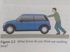 What forces are working in the picture?