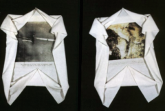 Colin Richards (South Africa), Veil VII and Veil VIII, 1996, cloth, pins