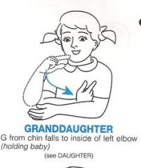 Proper sign = 
G-R-A-N-D DAUGHTER

Can also sign GRANDMOTHER + BABY