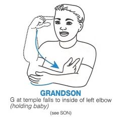 

Proper sign = 
G-R-A-N-D SON

Can also sign GRANDFATHER + BABY