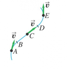 The motion diagram shows an object moving along a curved path at constant speed. At which
of the points A, C, and E does the object have zero acceleration?