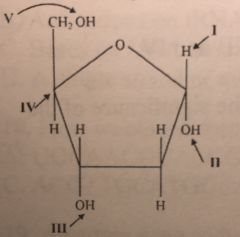 To which parts of the deoxyribose molecule do phosphates bind in DNA?