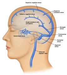 3.deep sagittal sinus (heißt eig. straight sinus)