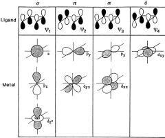 Orbitals of the right symmetry to overlap with 4 π type MO's of butadiene. 