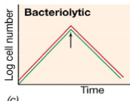 Bacterial cell lysis

(Can cause immune reactions in humans)
