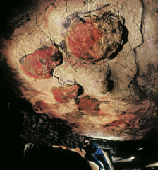 Paleolithic period
Ceiling of cave in Altimira, Spain
c. 12,500 BCE
Paint on limestone