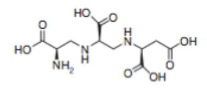 A inhibitor of metallo-beta-lactamase