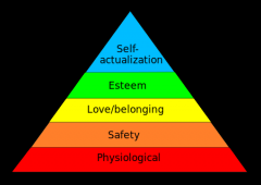 What does this hierarchy represent?