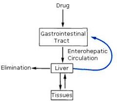 Phase 2 conjugation produces glucuronide metabolites....metabolism occurs in the liver and excretion occurs via biliary mechanism
it can also be cleared somewhat renaly with the exception of Doxycycline which is the only TET safe to use in renal ...
