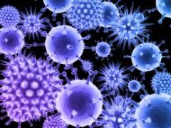 A virus is a small infectious agent that replicates only inside the living cells of other organisms. Viruses can infect all types of life forms, from animals and plants to bacteria and archaea.