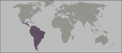 Tropical Mexico south to South America, plus Antilles and south Florida
 
Number of families=50; endemics = 19