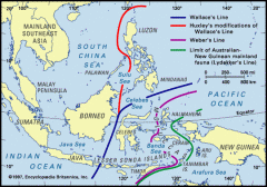 The Wallace Line is a boundary that seperates the zoogeographical regions of Indomalaya and Wallacea (a transitional zone between Asia and Australia).
 
Overall, this is a region of on-going plate techtonics at the line of collision between the Au...