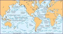 They drive the circulation of ocean water.  Ocean water generally moves in the direction of the prevailing winds. 
 
-Winds blowing toward the equator cause warm water to converge at  the equator and move west until it encounters a landmass.  When...