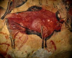 Formal analysis


Cave Paintings at Altamira 


Spain


12,000 B.C.E.


 


Content 


- This is painting done on a cave wall


- The main subject is the bison animals


- The animals represented the importance of animals to the...