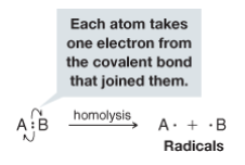 - The cleavage of a covalent bond so that each fragment departs with one of the electrons of the covalent bond that joined them.
- generates radicals


- 
 
Energy in the form of heat or light must be supplied to cause homolysis of covalent bonds