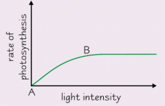 What is the point B on this graph called? What does it mean?
