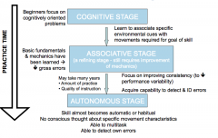 1. Cognitive Stage
2. Associate Stage
3. Autonomous Stage 
