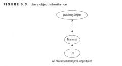 In Java, all classes inherit from a single class,java.lang.Object.when Java sees you define a class that doesn’t extend another class, it immediately adds the syntax extends java.lang.Object to the class definition.
public class Zoo {
}
public c...
