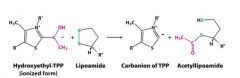 SECOND STEP TO ACETYL COA
TWOCARBONFRAGMENT is Oxidized and transferred to dihydrolipoamide 
Enzyme - dihydrolipoyl transacetylase (binds lipoic acid to its lysine residue to form hihydrolipoamide 
*NOTICE THE SULFUR GETS HYDROGENATED AND THE D...