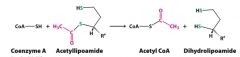 Dihydrolipoyl Acetylase (E2)  catalyzes transfer of acetyl group from acetyllipoamide to CoA