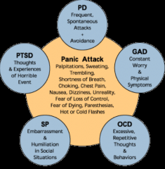 Everything is firing at once (these can occur in any anxiety disorder)
- Palpitations
- Sweating
- Trembling
- Shortness of breath
- Choking
- Chest pain
- Nausea, Dizziness, Unreality
- Fear of loss of control
- Fear of dying, paresthesi...