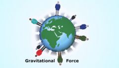 Who discovered gravitational force?
